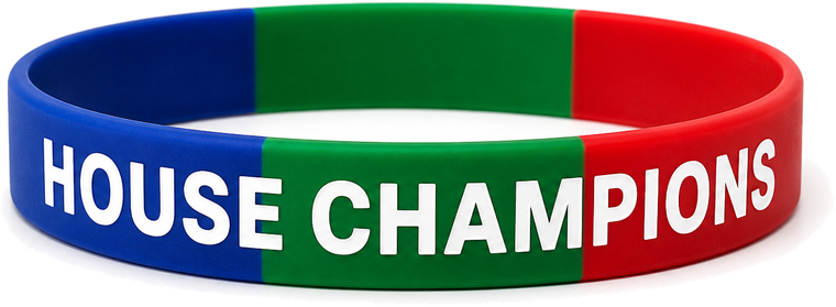 Custom segmented / multi-colour silicone wristband